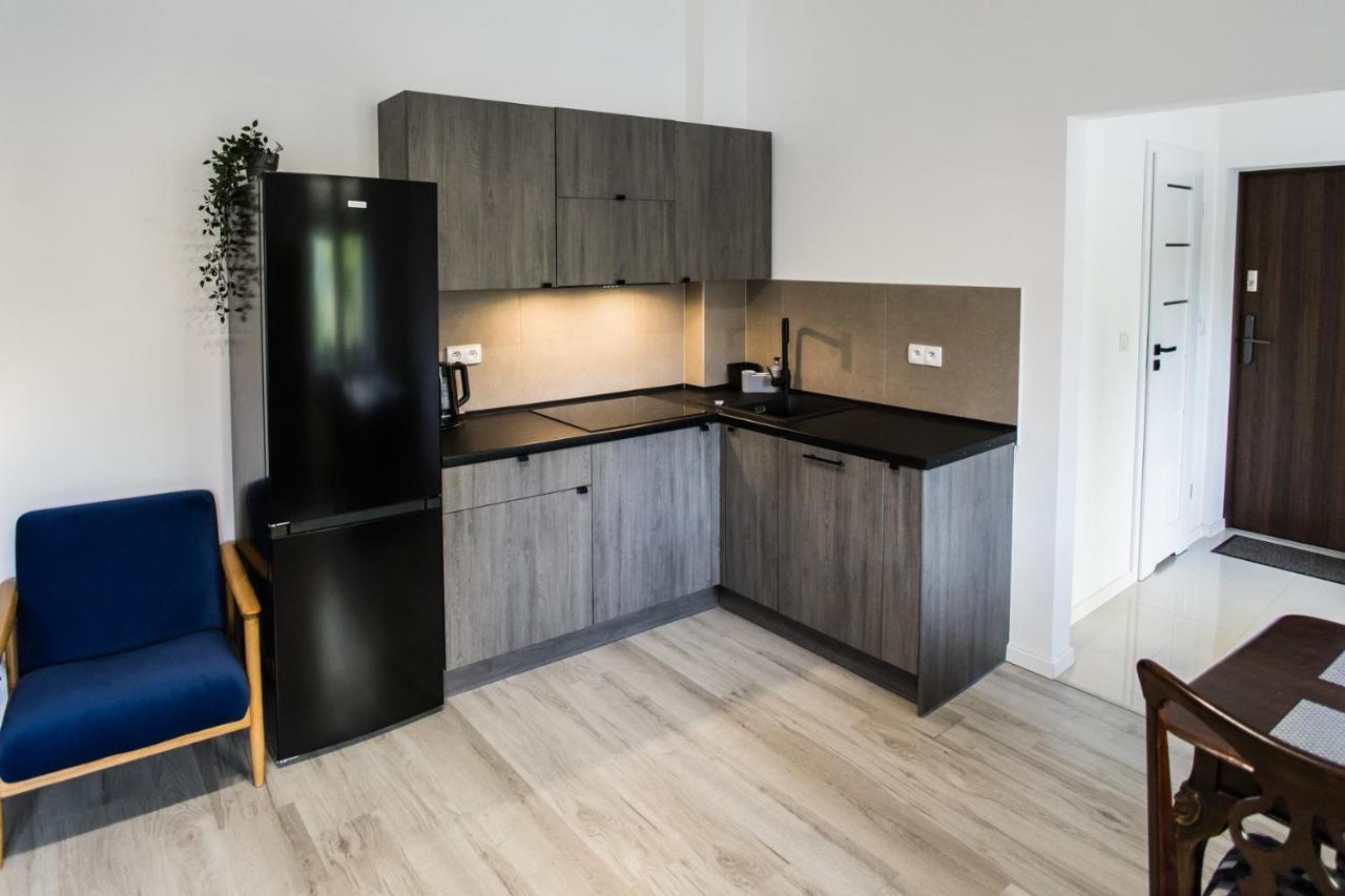 Apartament Kochanowskiego Торунь Екстер'єр фото